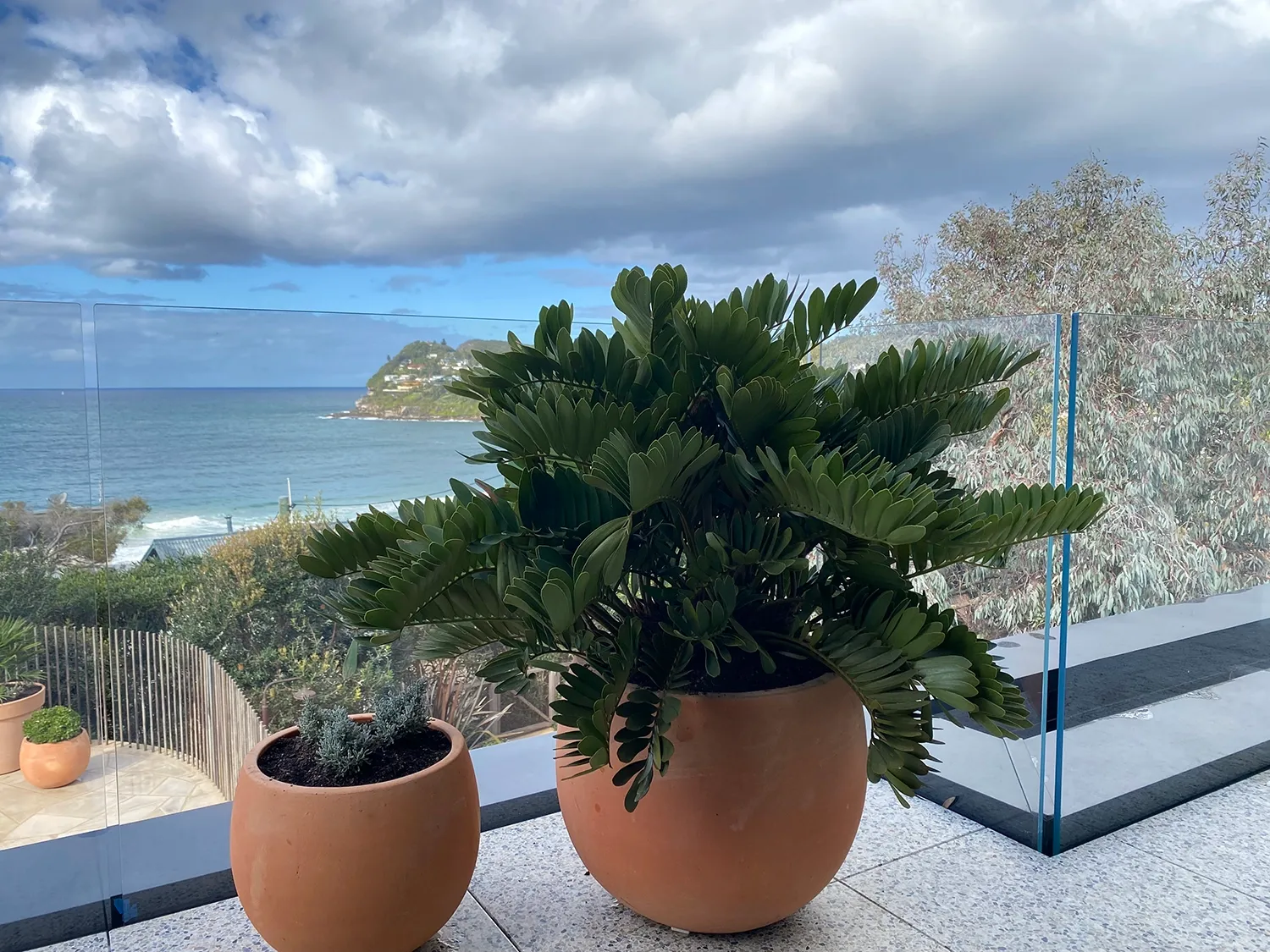 Whale Beach Glass Balustrade